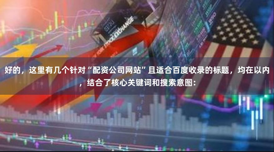 好的，这里有几个针对“配资公司网站”且适合百度收录的标题，均在以内，结合了核心关键词和搜索意图：