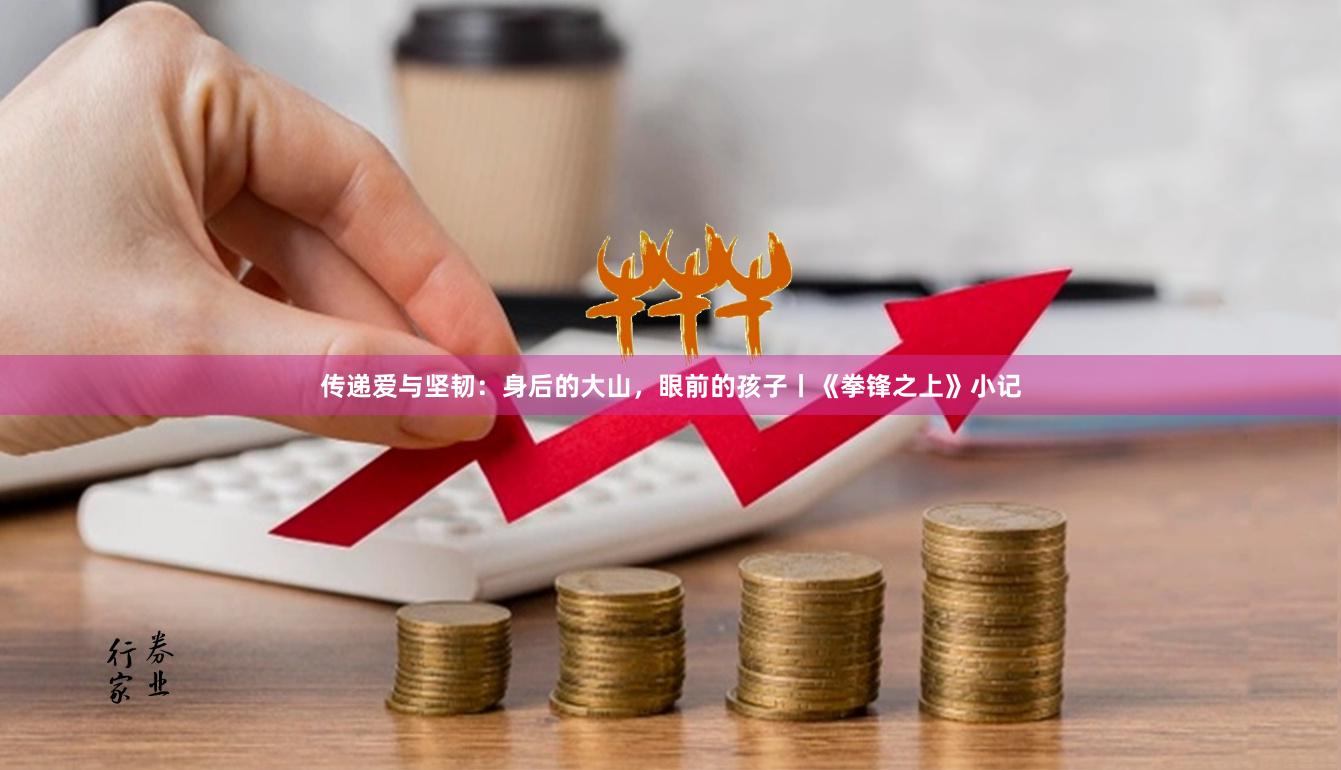 传递爱与坚韧：身后的大山，眼前的孩子丨《拳锋之上》小记