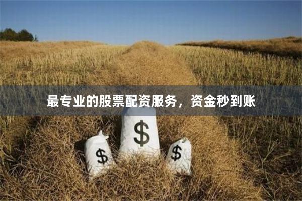 最专业的股票配资服务，资金秒到账